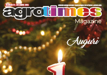 Numero 12 – Dicembre 2018