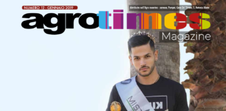 Numero 1 – Gennaio 2019