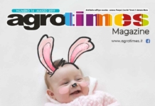 Numero 3 – Marzo 2019