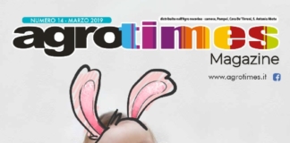 Numero 3 – Marzo 2019