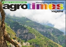 Numero 7 – Luglio 2019