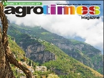 Numero 7 – Luglio 2019