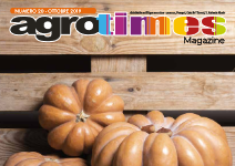 Numero 20 – Ottobre 2019