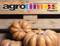 Numero 20 – Ottobre 2019