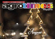 Numero 21 – Novembre/Dicembre 2019