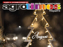 Numero 21 – Novembre/Dicembre 2019