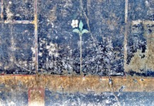 Pompei: ancora sorprese dagli scavi della villa di Civita Giuliana