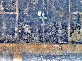 Pompei: ancora sorprese dagli scavi della villa di Civita Giuliana