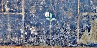 Pompei: ancora sorprese dagli scavi della villa di Civita Giuliana