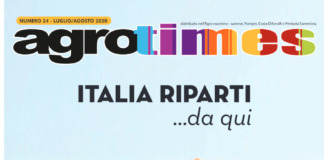 Numero 24 – Luglio/Agosto 2020