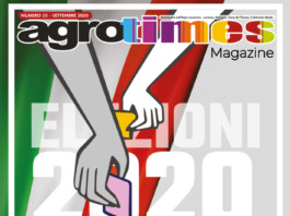 Numero 25 – Settembre 2020