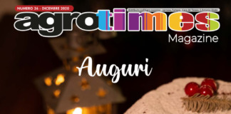 Numero 26 – Dicembre 2020