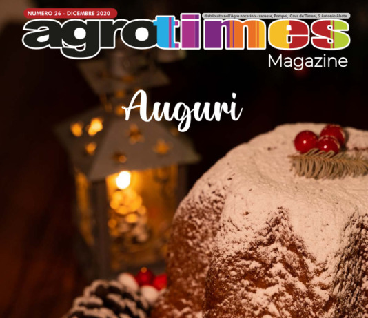 Numero 26 – Dicembre 2020