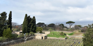 Pompei e il vino: tutto come 2,000 anni fa
